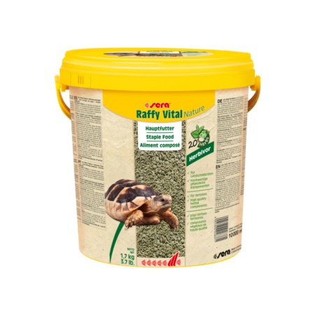 104915406_2849151096